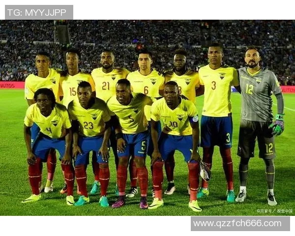 南美足球明星队员全解析及其在国际赛场上的辉煌表现