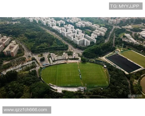 广州乒乓球队实力解析:从训练到比赛的全方位探讨与展望 广州乒乓球队实力解析:从训练到比赛的全方位探讨与展望