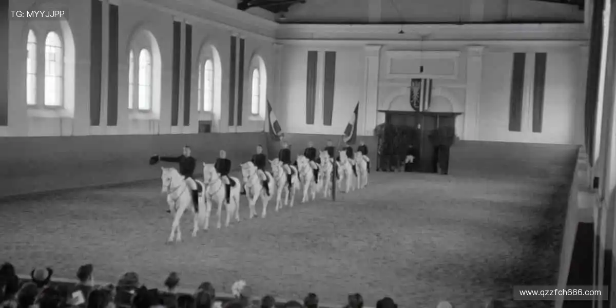 从训练到夺冠，我们与你同在！🏅